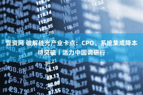 壹资网 破解硅光产业卡点：CPO、系统集成降本待突破丨活力中国调研行